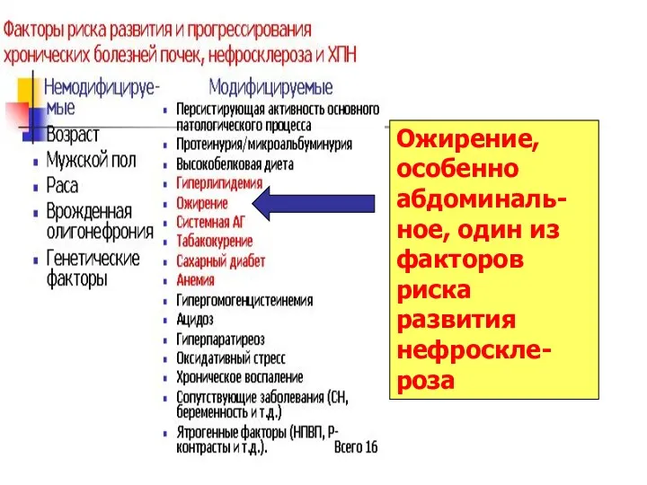 Ожирение, особенно абдоминаль-ное, один из факторов риска развития нефроскле-роза