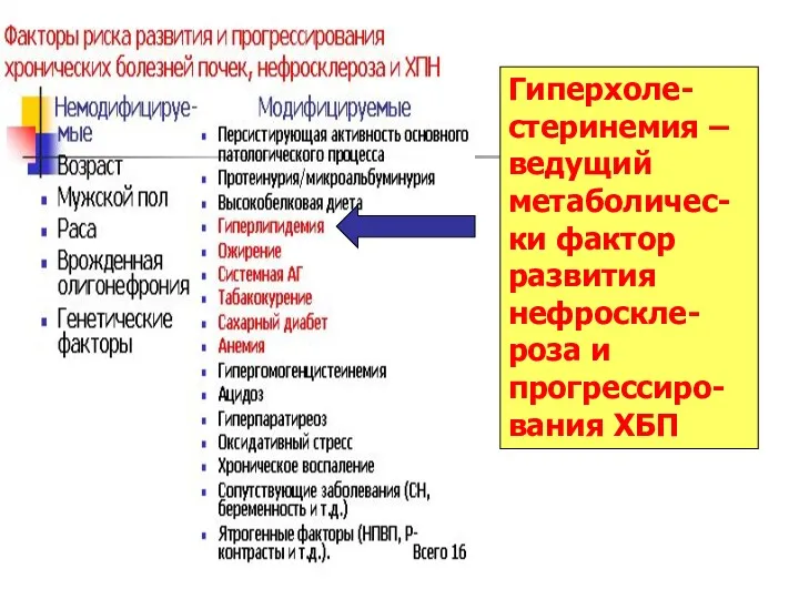 Гиперхоле-стеринемия –ведущий метаболичес-ки фактор развития нефроскле-роза и прогрессиро-вания ХБП