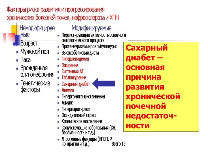 Сахарный диабет – основная причина развития хронической почечной недостаточ-ности