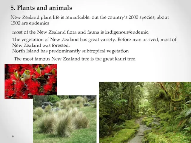 5. Plants and animals New Zealand plant life is remarkable: out the country’s