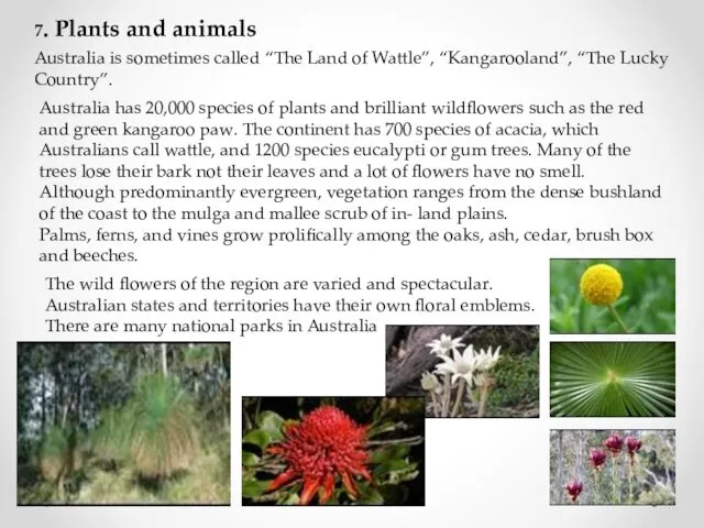 7. Plants and animals Australia is sometimes called “The Land of Wattle”, “Kan­garooland”,