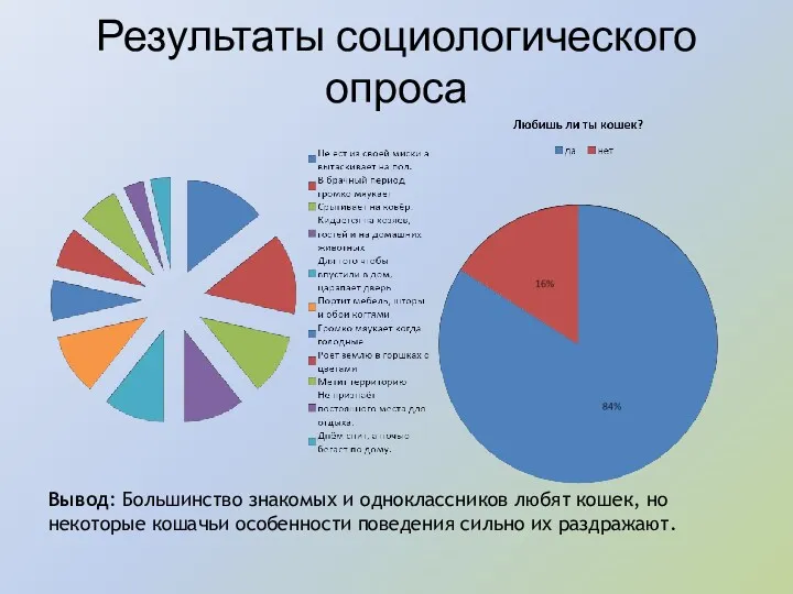 Результаты социологического опроса Вывод: Большинство знакомых и одноклассников любят кошек,