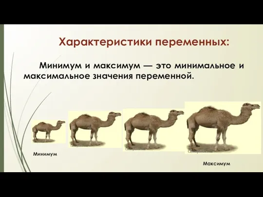 Минимум и максимум — это минимальное и максимальное значения переменной. Характеристики переменных: Минимум Максимум