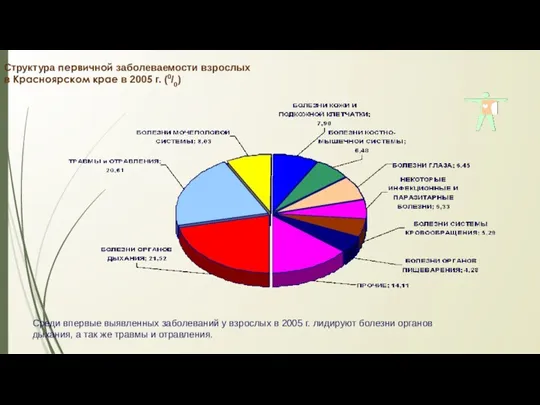 Структура первичной заболеваемости взрослых в Красноярском крае в 2005 г.