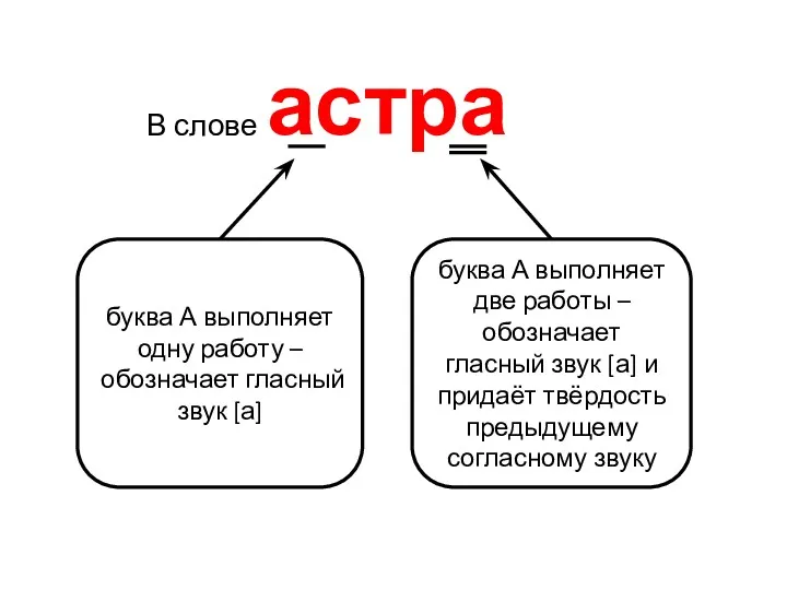 астра буква А выполняет одну работу – обозначает гласный звук