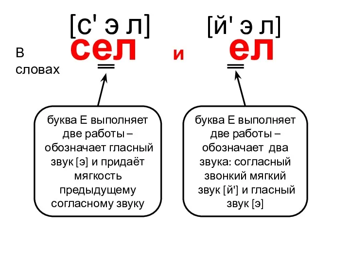 сел и ел буква Е выполняет две работы – обозначает