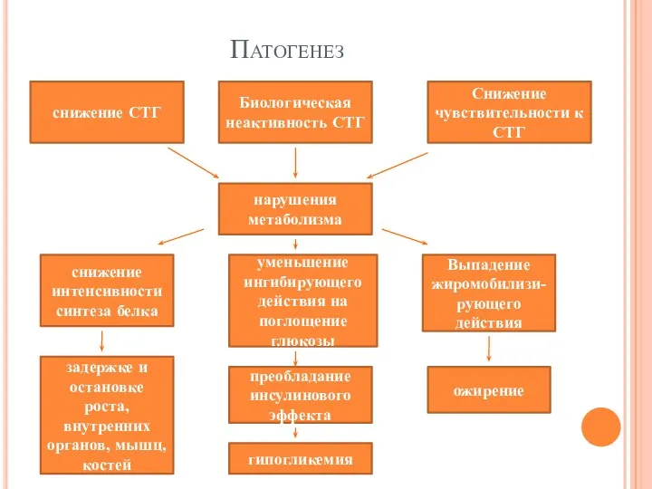 Патогенез снижение СТГ Биологическая неактивность СТГ Снижение чувствительности к СТГ