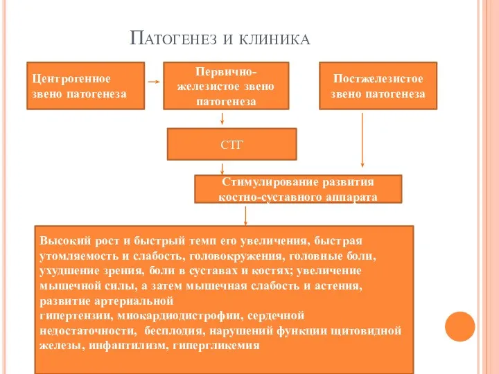 Патогенез и клиника Высокий рост и быстрый темп его увеличения,