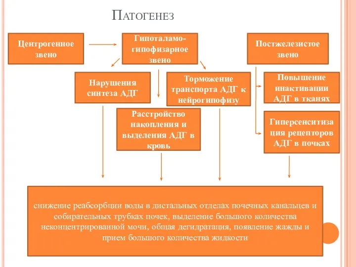 Патогенез Центрогенное звено Гипоталамо-гипофизарное звено Постжелезистое звено Нарушения синтеза АДГ