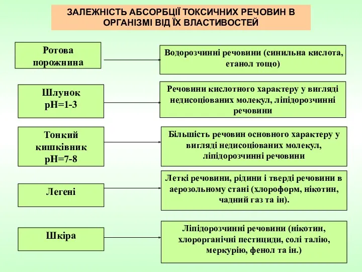 ЗАЛЕЖНІСТЬ АБСОРБЦІЇ ТОКСИЧНИХ РЕЧОВИН В ОРГАНІЗМІ ВІД ЇХ ВЛАСТИВОСТЕЙ Тонкий