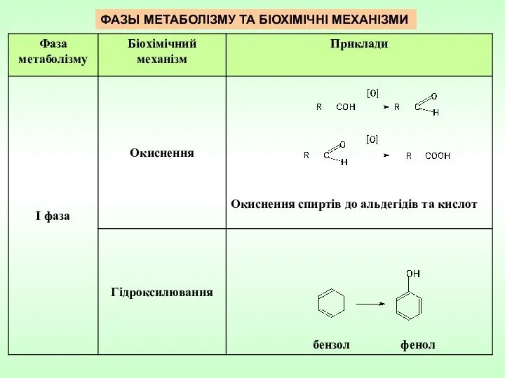 ФАЗЫ МЕТАБОЛІЗМУ ТА БІОХІМІЧНІ МЕХАНІЗМИ