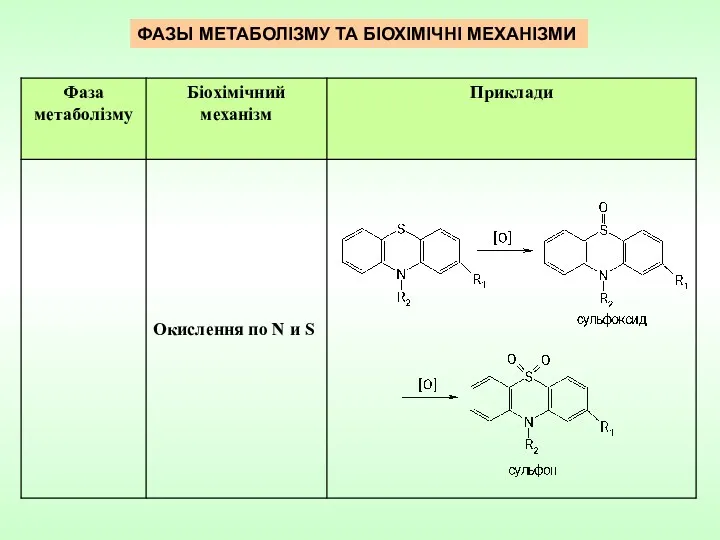 ФАЗЫ МЕТАБОЛІЗМУ ТА БІОХІМІЧНІ МЕХАНІЗМИ