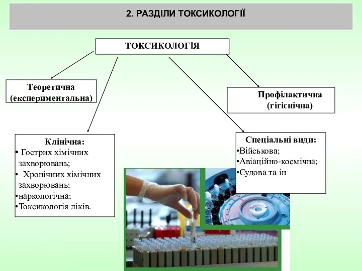 2. РАЗДІЛИ ТОКСИКОЛОГІЇ ТОКСИКОЛОГІЯ Теоретична (експериментальна) Профілактична (гігієнічна) Клінічна: Гострих