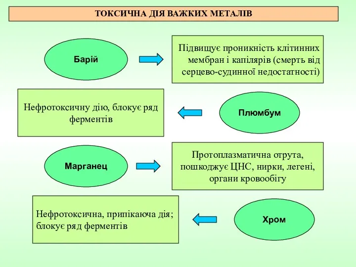 ТОКСИЧНА ДІЯ ВАЖКИХ МЕТАЛІВ Барій Підвищує проникність клітинних мембран і