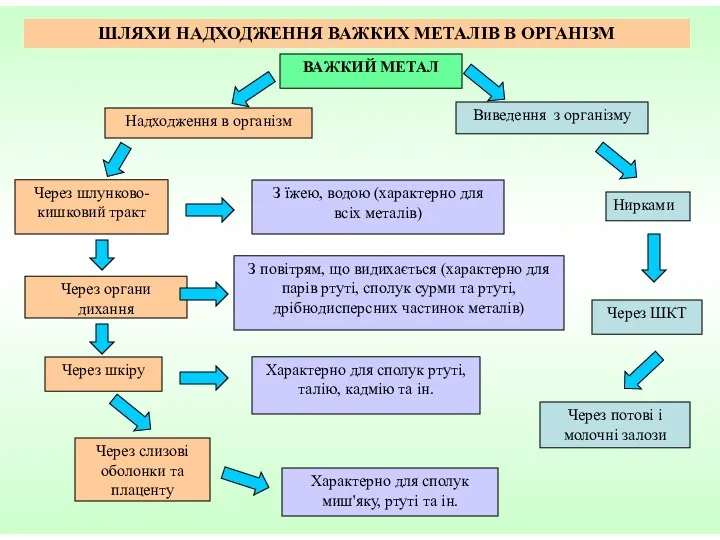 ШЛЯХИ НАДХОДЖЕННЯ ВАЖКИХ МЕТАЛІВ В ОРГАНІЗМ Надходження в організм Через