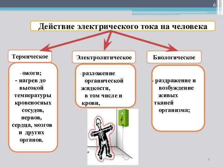 Действие электрического тока на человека Термическое Электролитическое Биологическое ожоги; нагрев