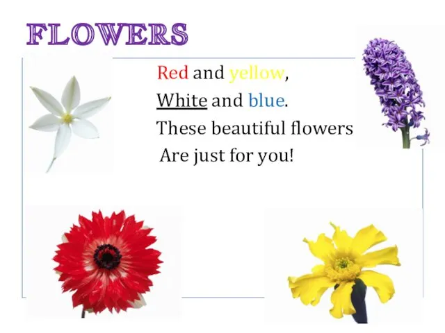 FLOWERS Red and yellow, White and blue. These beautiful flowers Are just for you!