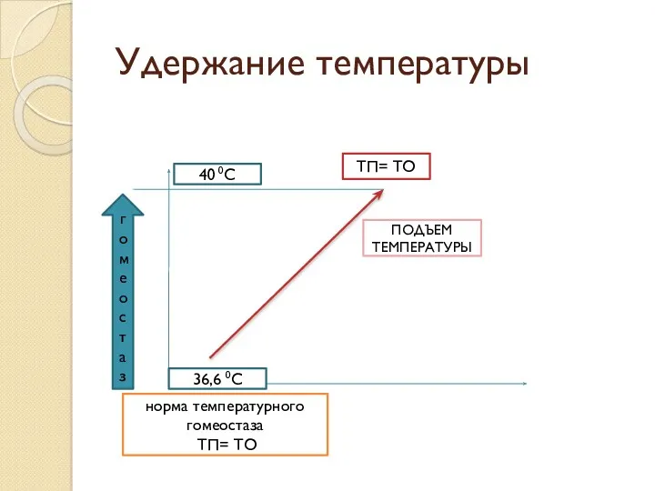 Удержание температуры гомеостаз 40 0С 36,6 0С ПОДЪЕМ ТЕМПЕРАТУРЫ норма температурного гомеостаза ТП= ТО ТП= ТО