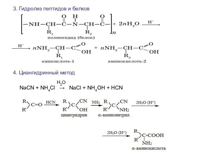 3. Гидролиз пептидов и белков 4. Циангидринный метод NaCN +