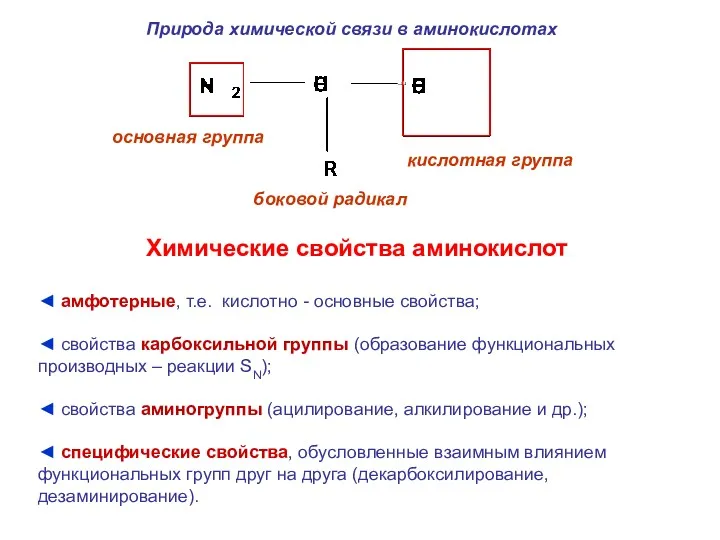 Природа химической связи в аминокислотах основная группа кислотная группа боковой