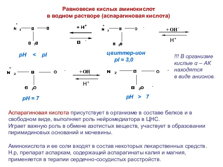 Равновесие кислых аминокислот в водном растворе (аспарагиновая кислота) цвиттер-ион pI