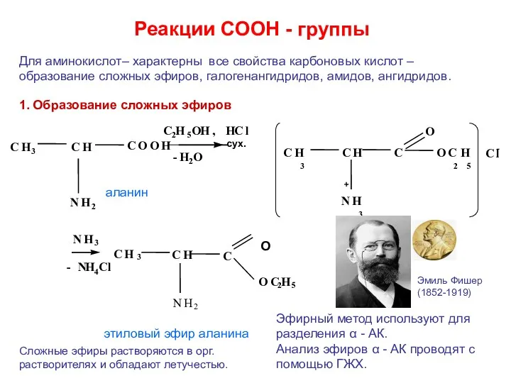 Реакции СООН - группы O Для аминокислот– характерны все свойства