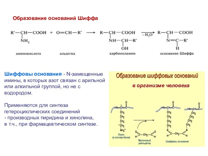 Шиффовы основания - N-замещенные имины, в которых азот связан с