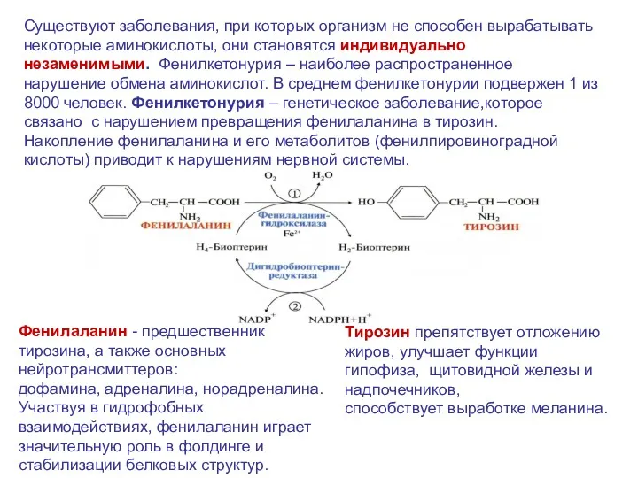 Существуют заболевания, при которых организм не способен вырабатывать некоторые аминокислоты,