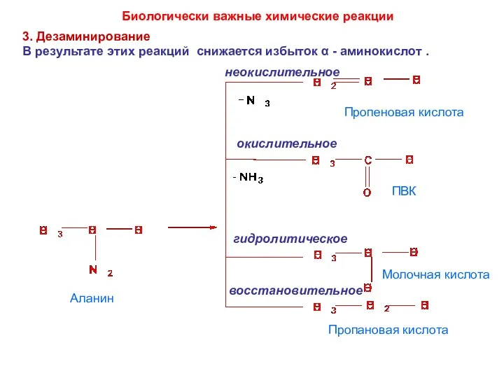 3. Дезаминирование В результате этих реакций снижается избыток α -