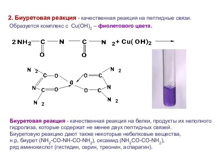 2. Биуретовая реакция - качественная реакция на пептидные связи. Образуется