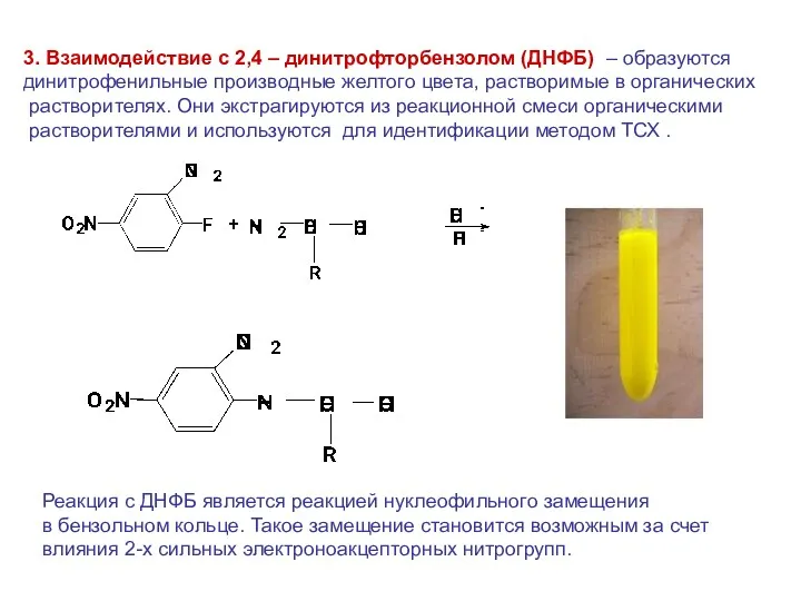 3. Взаимодействие с 2,4 – динитрофторбензолом (ДНФБ) – образуются динитрофенильные