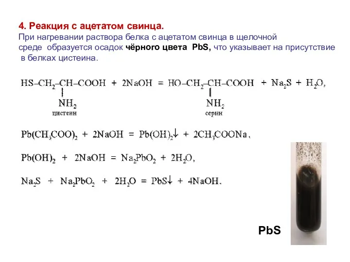 4. Реакция с ацетатом свинца. При нагревании раствора белка с