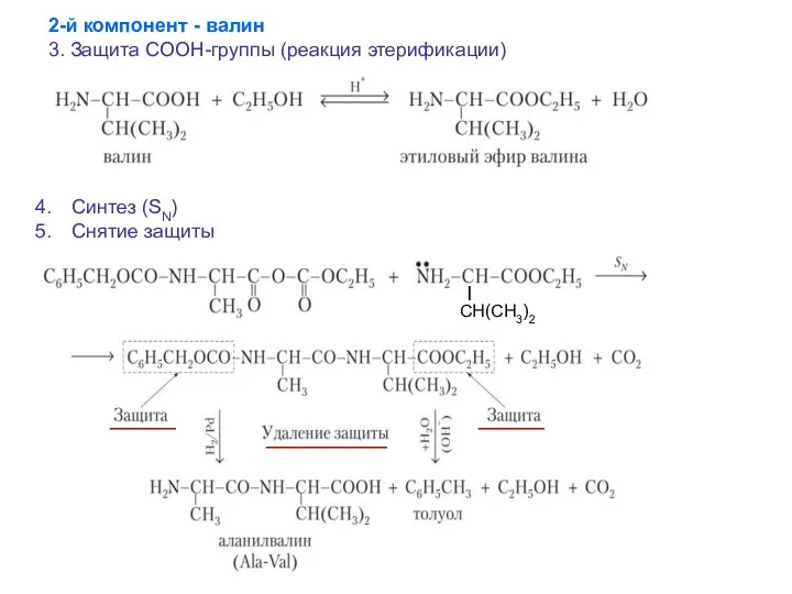 2-й компонент - валин 3. Защита СООН-группы (реакция этерификации) Синтез