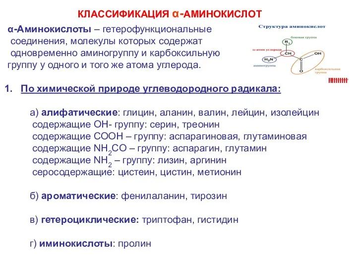 α-Аминокислоты – гетерофункциональные соединения, молекулы которых содержат одновременно аминогруппу и