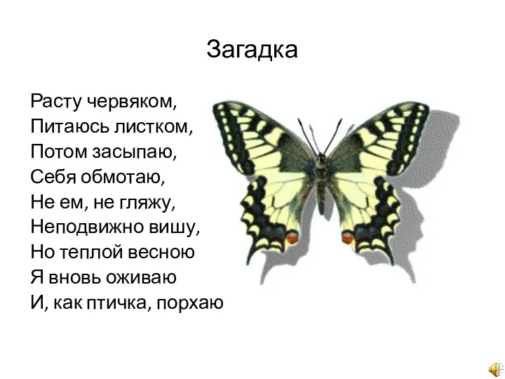 Загадка Расту червяком, Питаюсь листком, Потом засыпаю, Себя обмотаю, Не