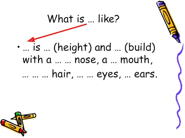 What is … like? … is … (height) and …