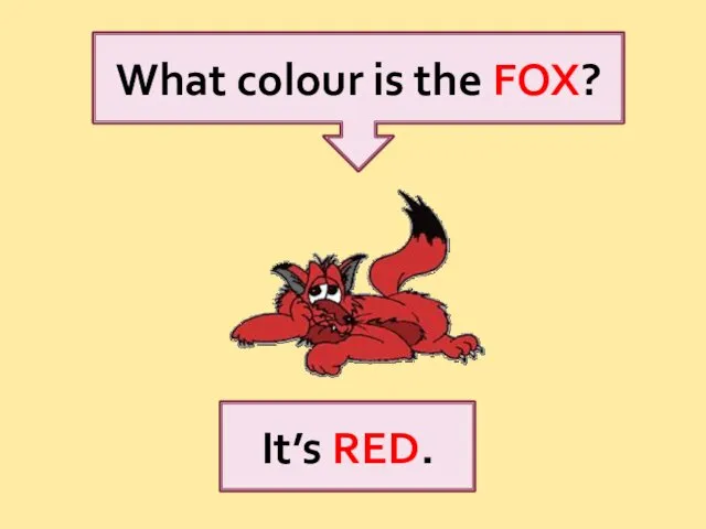What colour is the FOX? It’s RED.