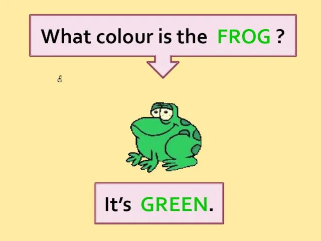 What colour is the FROG ? It’s GREEN.