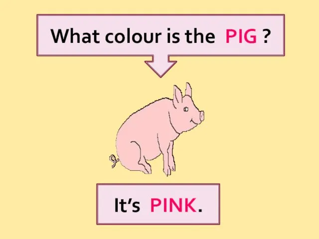 What colour is the PIG ? It’s PINK.