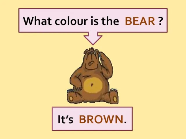 What colour is the BEAR ? It’s BROWN.