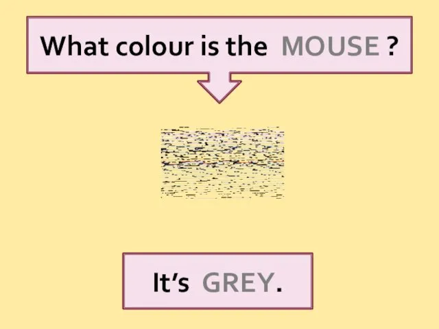 What colour is the MOUSE ? It’s GREY.