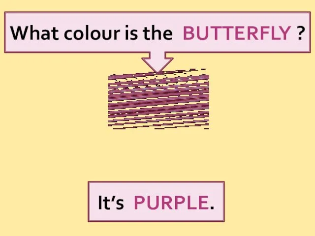 What colour is the BUTTERFLY ? It’s PURPLE.