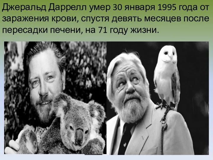 Джеральд Даррелл умер 30 января 1995 года от заражения крови,