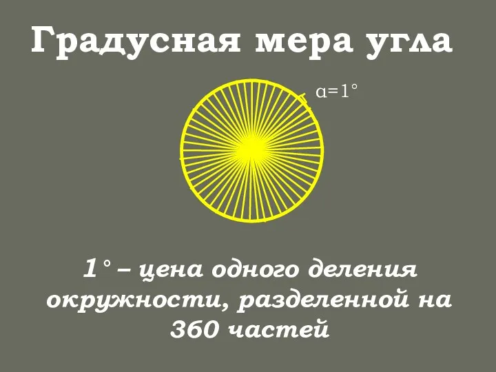 Градусная мера угла 1° – цена одного деления окружности, разделенной на 360 частей α=1°