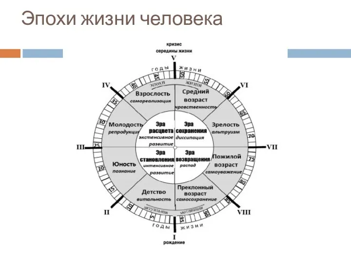 Эпохи жизни человека