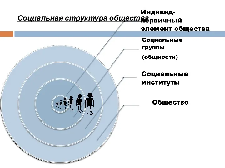 Социальная структура общества