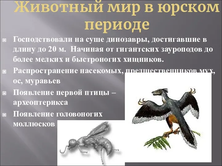 Животный мир в юрском периоде Господствовали на суше динозавры, достигавшие