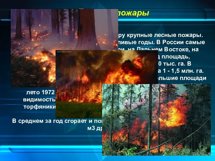 Лесные пожары Существенно загрязняют атмосферу крупные лесные пожары. Чаще в