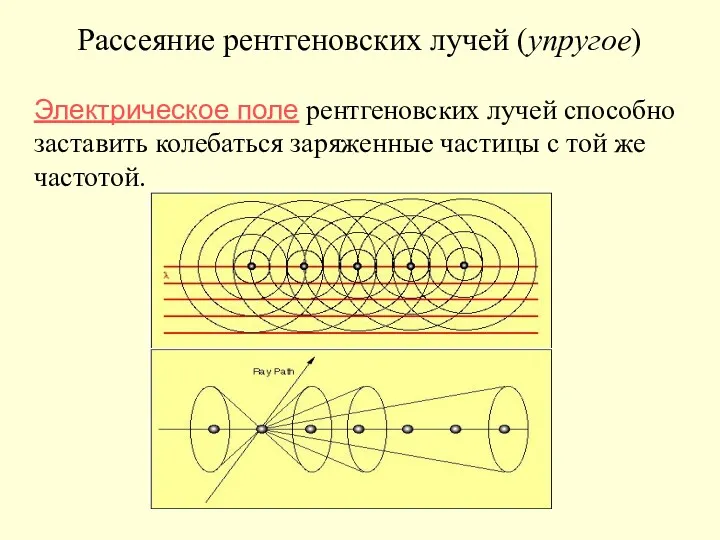 Электрическое поле рентгеновских лучей способно заставить колебаться заряженные частицы с