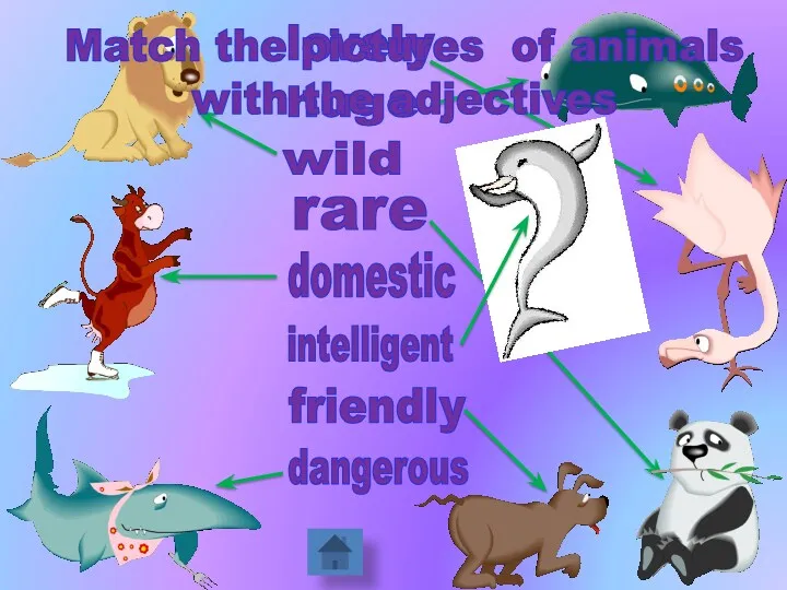 dangerous huge rare lovely friendly intelligent wild domestic Match the pictures of animals with the adjectives